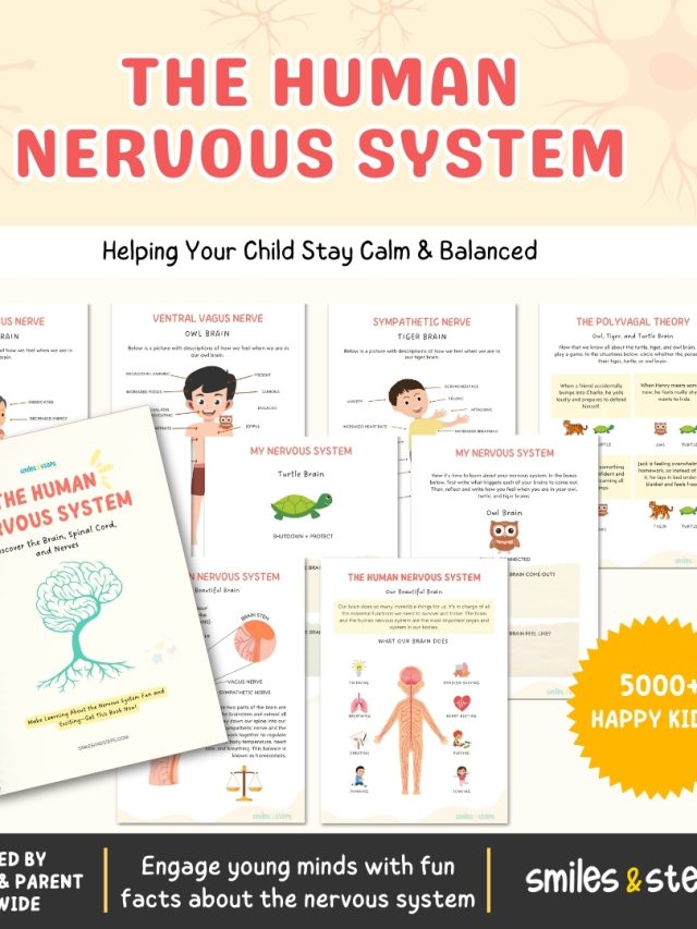 The Human Nervous System Workbook for Kids