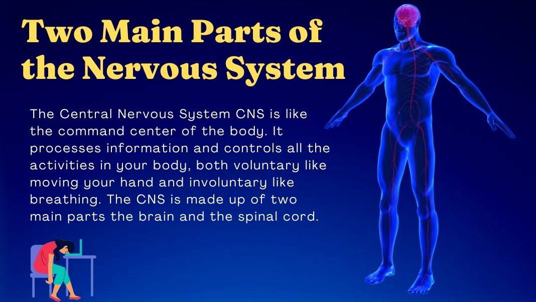 Free Nervous System Regulation Workbook and Printables