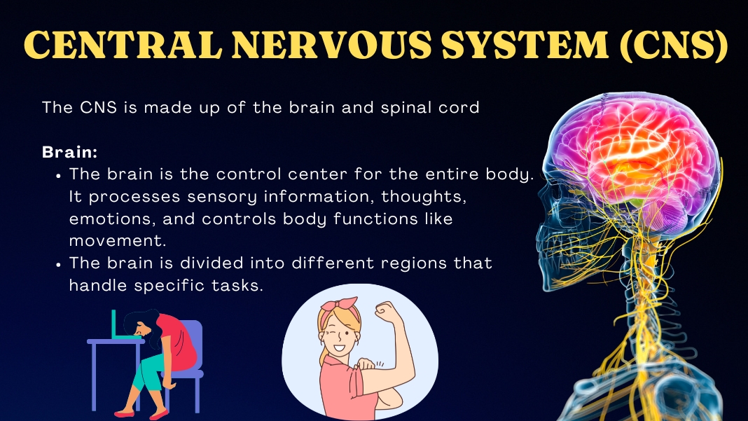 Free Workbook and Printables for Nervous System Reset