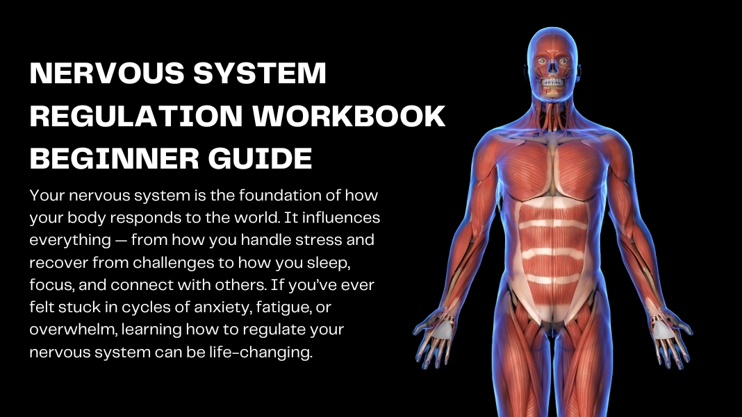 Nervous System Regulation Workbook Beginner Guide
