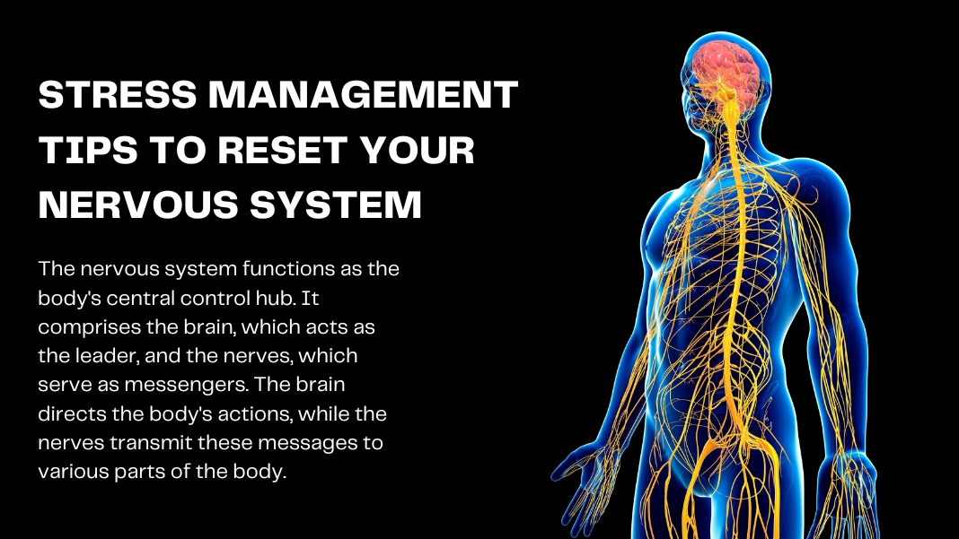 Stress Management Tips to Reset Your Nervous System